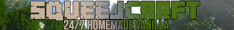 Banner for SqueejCraft Minecraft server