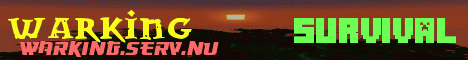 Banner for warkings server Minecraft server