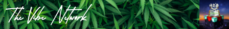 Banner for The Vibe Network Minecraft server