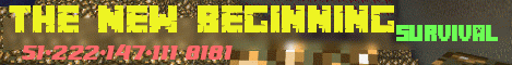 Banner for The New Beginning server