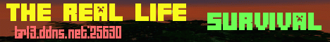 Banner for The Real Life Minecraft server