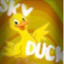 SkyDuck icon