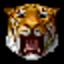TigerWithin icon