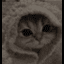 Zatiejo's Minecraft Server icon
