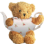 Teddy Bear Teapot icon