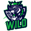 WildPvP icon