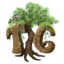 TreeGrounds icon