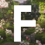 FallenSMP icon