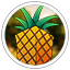Fruit Servers icon