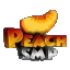 Peachsmp icon