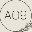 AO9 icon