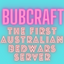 Bubcraft.hopto.org icon