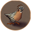 Quailiens icon