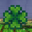 Clover Survival SMP icon