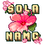 SolanaMC icon