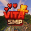 VitaSMP LifeSteal icon