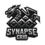 SynapseGrid icon