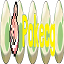 Pokecg ~ The Pokemon TCG and main series mashup server icon
